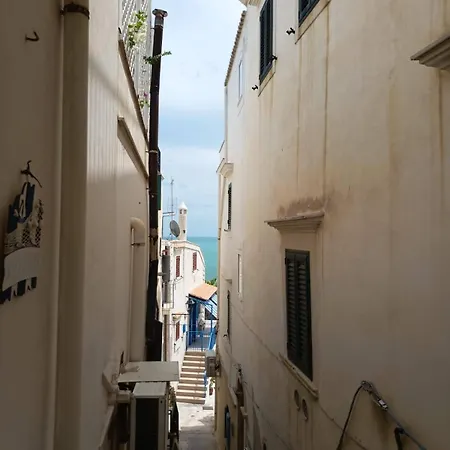 Sea Wind Vieste